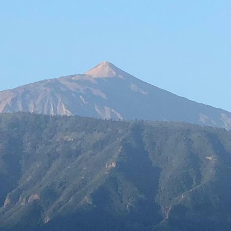 Centrico Y Coqueto Apartamento Puerto de la Cruz  Dış mekan fotoğraf