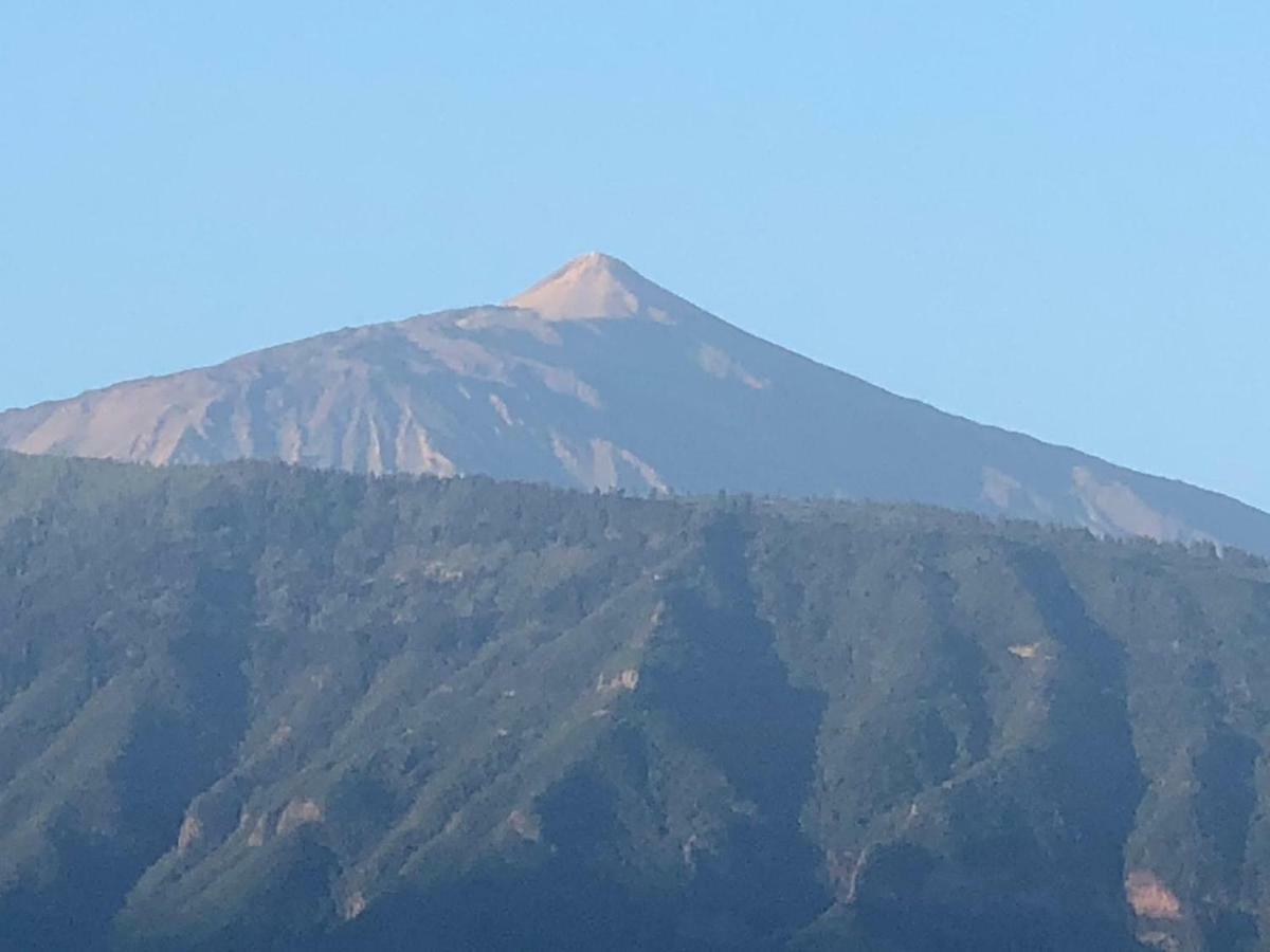 Centrico Y Coqueto Apartamento Puerto de la Cruz  Dış mekan fotoğraf